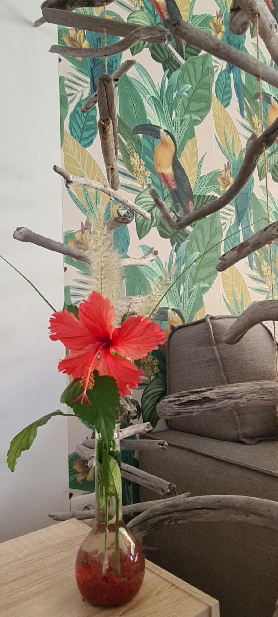 Coquet Appartement A 50 M Du Lagon Étang-Salé les Bains Exteriér fotografie